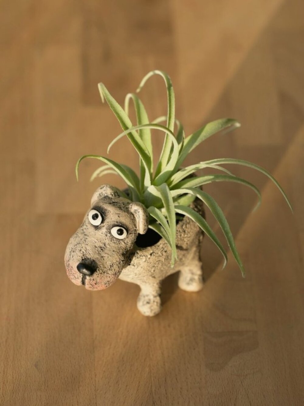 Petunia Dog Planter pot - Picture 4 of 4